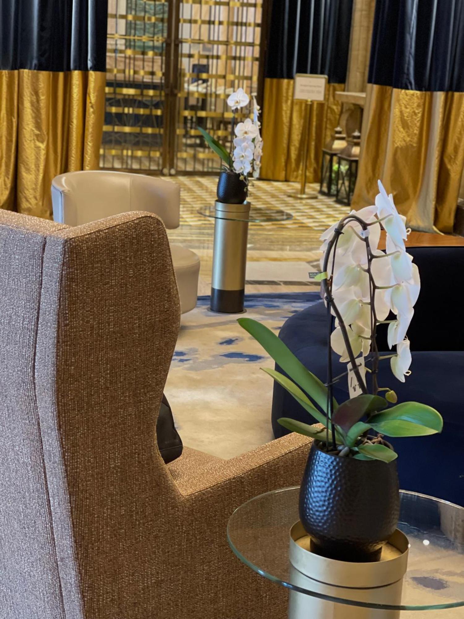 балкан, от луксозната колекция 5*